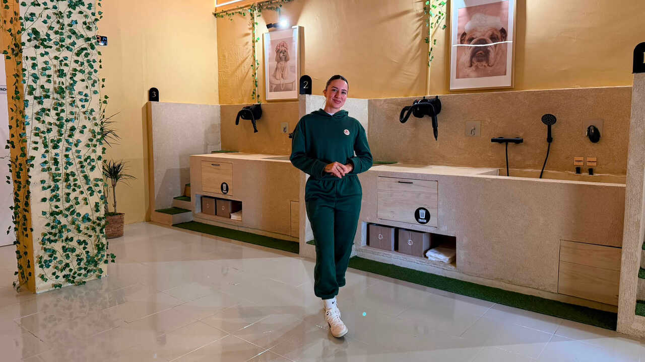 萨拉戈萨新颖宠物SPA：10欧元即可给狗狗洗澡，“一切设计都为舒适服务”