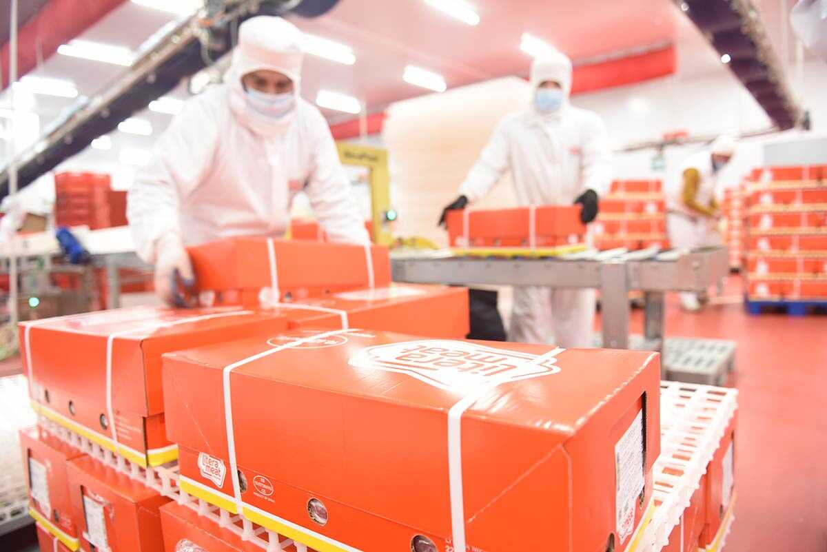 2026年阿拉贡国际化奖：五家获奖企业揭晓