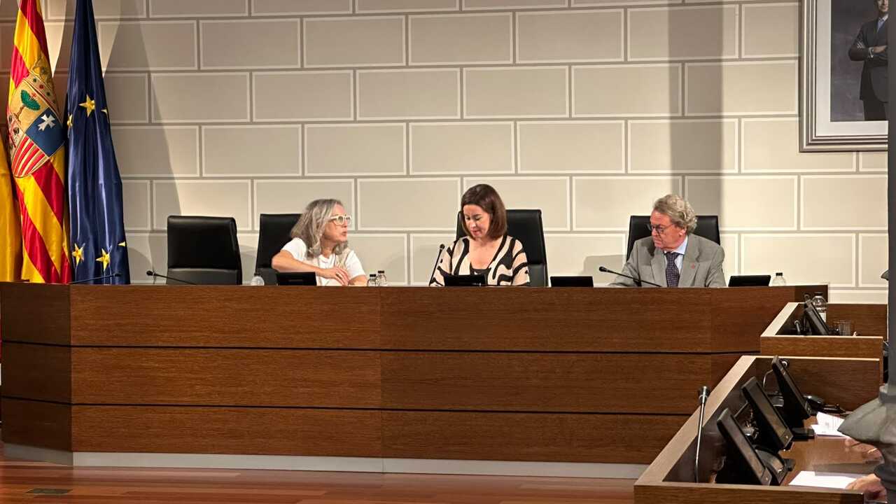 萨拉戈萨省议会全会：消防员谈判与小牛犊斗牛门票争议