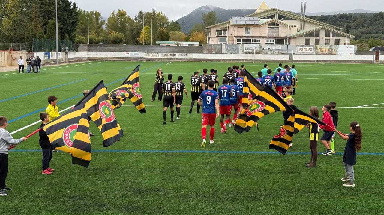 艾因萨斥资62.2万欧元启用人工草坪足球场