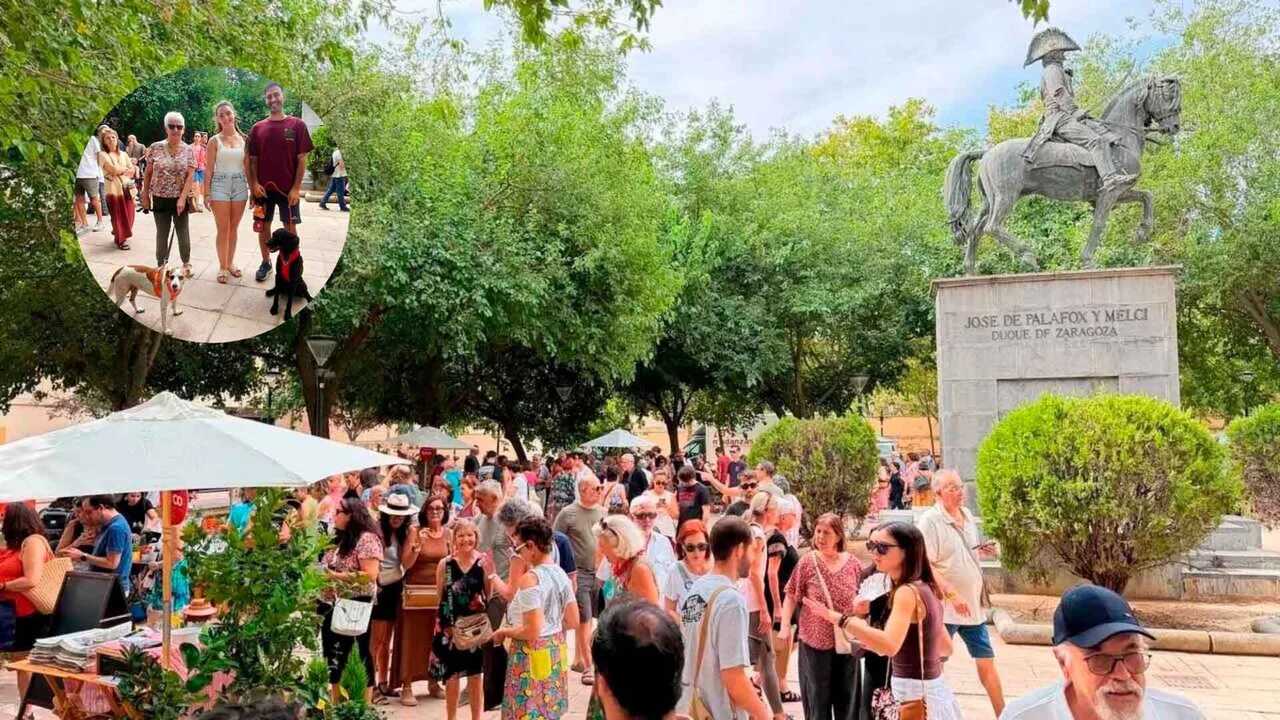 融合鲜花与宠物的市集回归萨拉戈萨：将举办工作坊和展示活动
