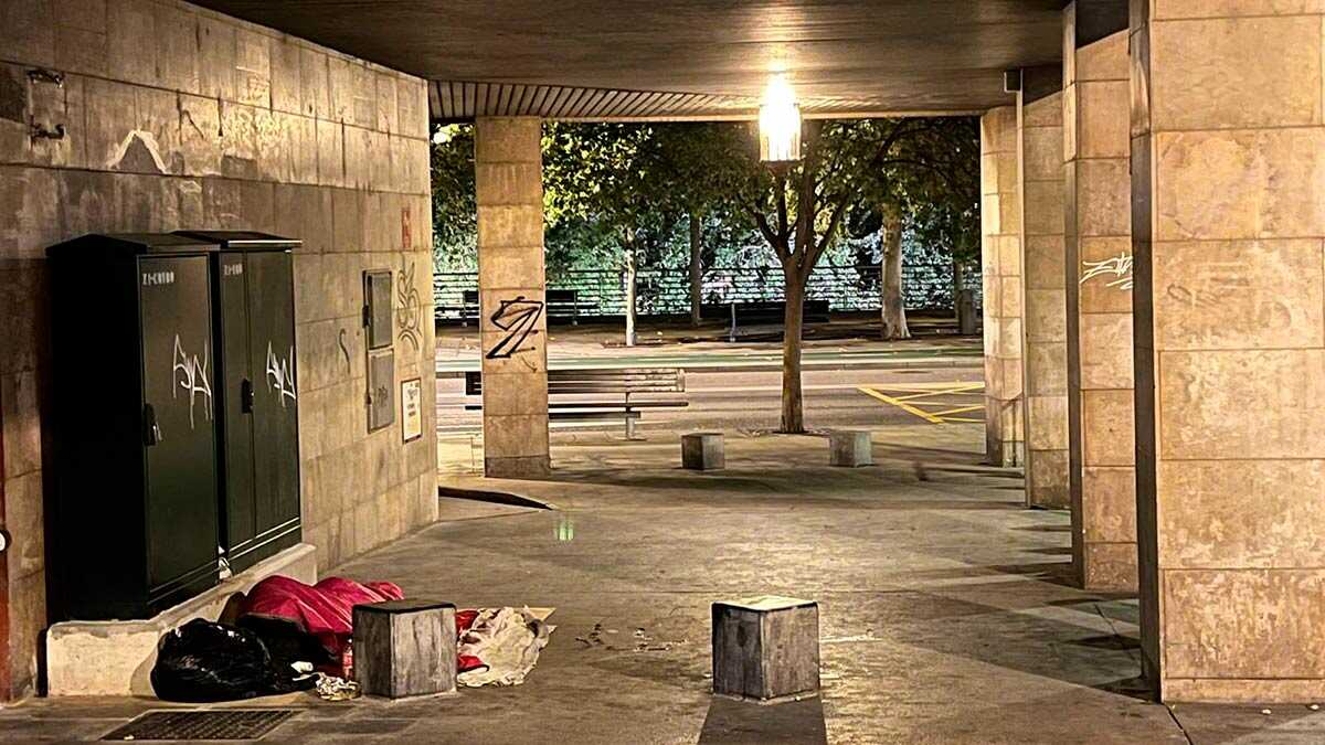 男性和外国人：萨拉戈萨无家可归者的主要画像